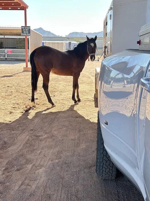 Desert Mountain Equine 7