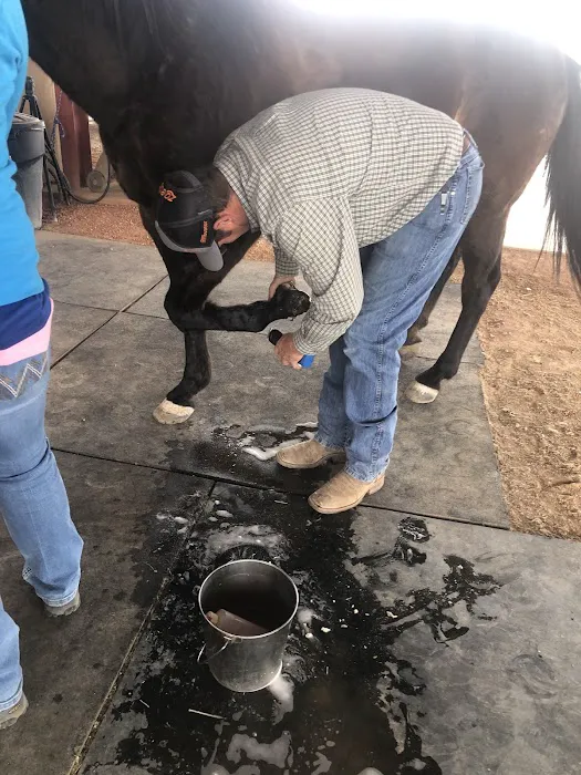Desert Mountain Equine 6