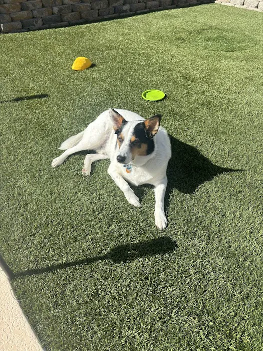 Banfield Pet Hospital 8
