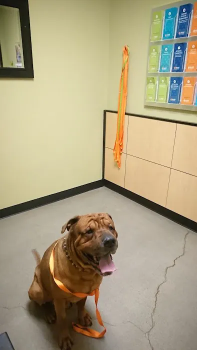 Banfield Pet Hospital 6