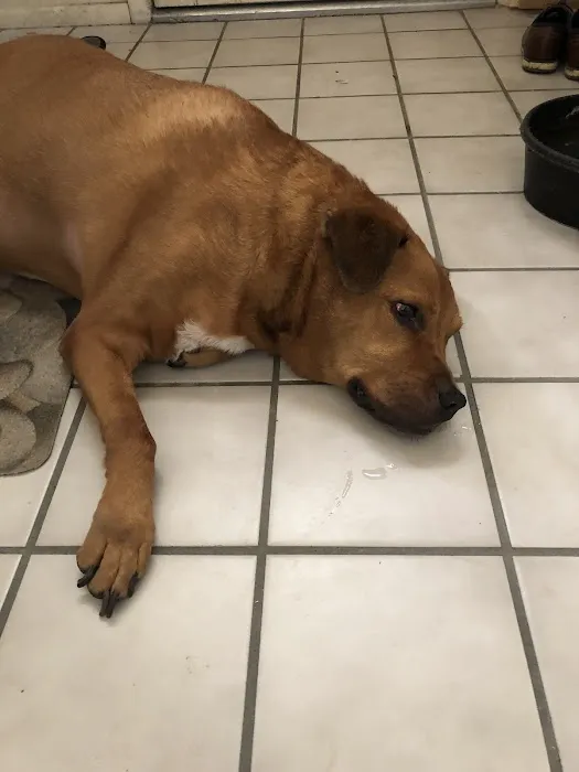 Banfield Pet Hospital 6