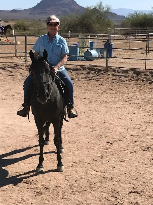 East Valley Equine Practitioners 2
