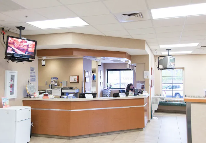 Arizona Veterinary Dental Specialists - Gilbert 5