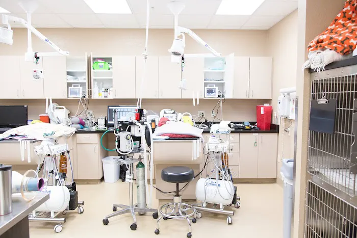 Arizona Veterinary Dental Specialists - Gilbert 9