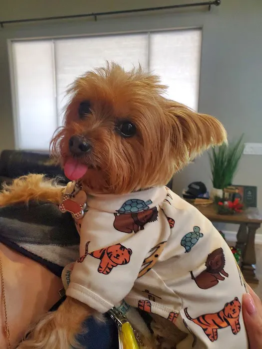 Great Hearts Animal Hospital of Chandler 9