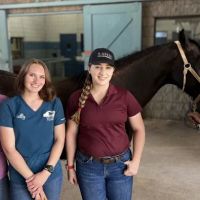 Arizona Equine Medical & Surgical Centre ico