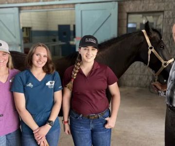 Arizona Equine Medical & Surgical Centre