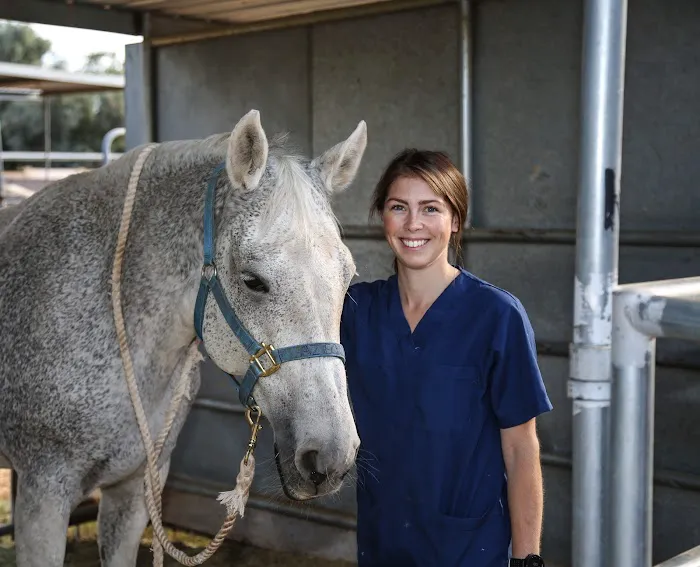 Arizona Equine Medical & Surgical Centre 7