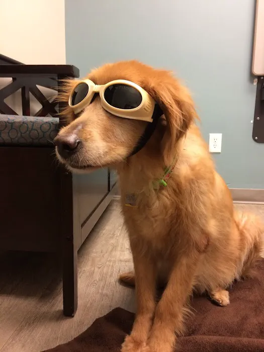Animal Medical Center of Chandler 5