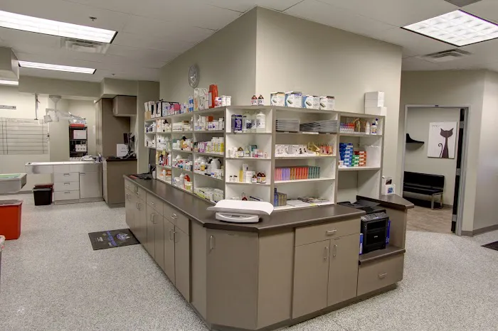 Animal Medical Center of Chandler 4