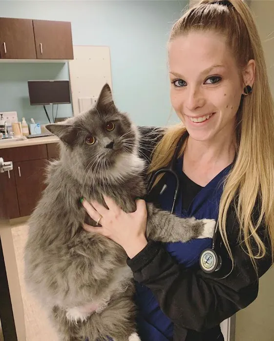 Animal Medical Center of Chandler 2