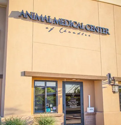 Animal Medical Center of Chandler 1