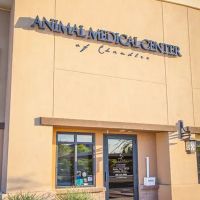 Animal Medical Center of Chandler ico