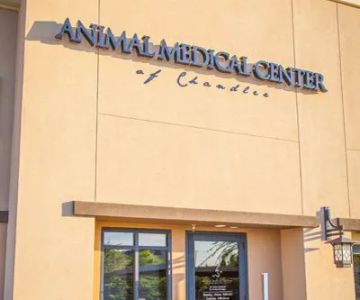 Animal Medical Center of Chandler