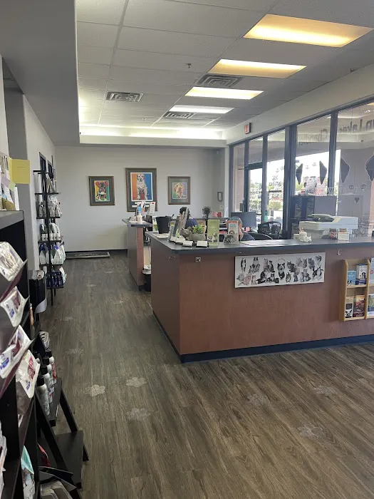 Sun Lakes Chandler Animal Clinic 7