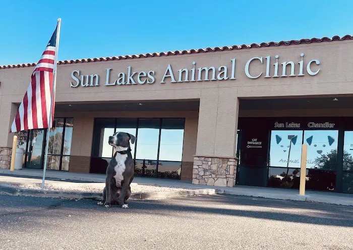 Sun Lakes Chandler Animal Clinic 1