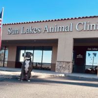 Sun Lakes Chandler Animal Clinic ico