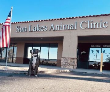 Sun Lakes Chandler Animal Clinic