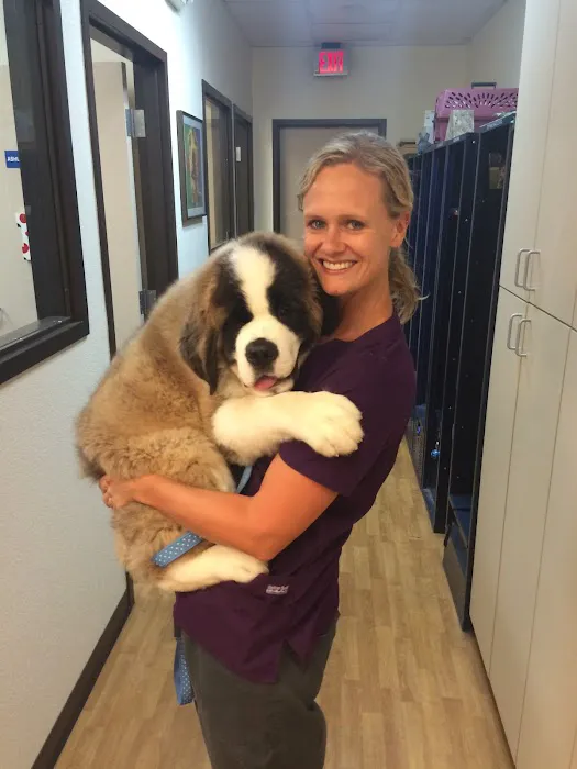 Sun Lakes Chandler Animal Clinic 2