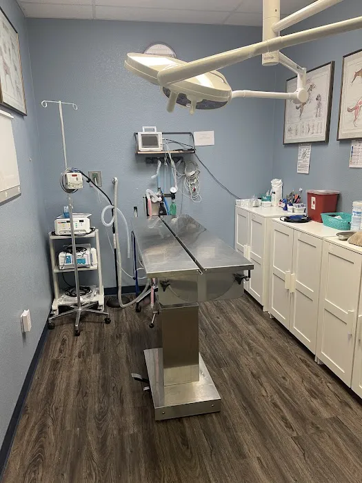 Sun Lakes Chandler Animal Clinic 5