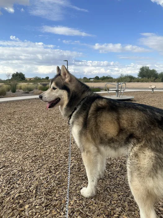 Valley Spay and Neuter Clinic 7