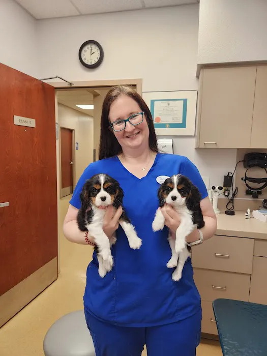 Eye Care for Animals 4