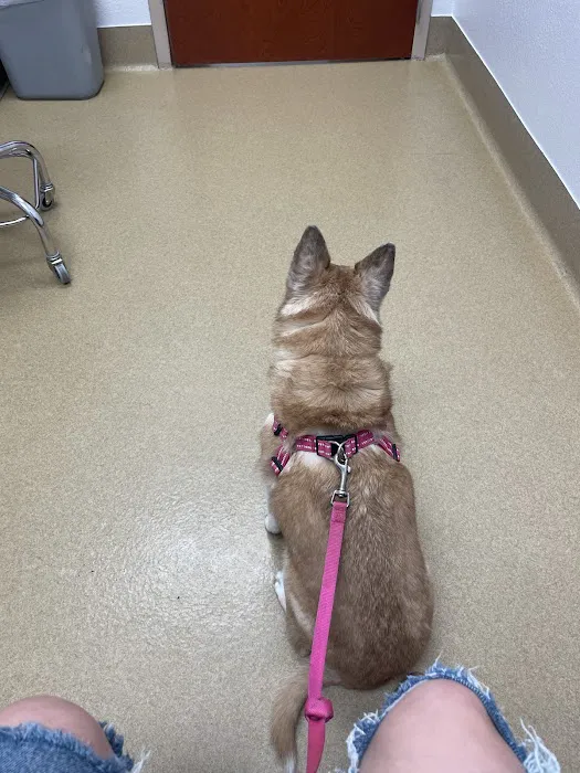 Eye Care for Animals 7