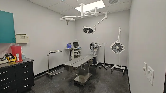 Tree of Life Exotic Pet Medical Center 1