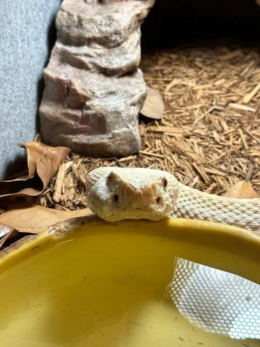 Tree of Life Exotic Pet Medical Center 6