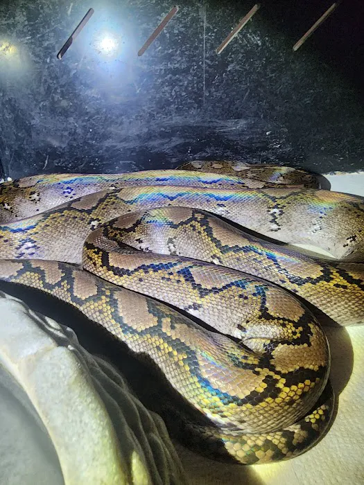 Tree of Life Exotic Pet Medical Center 7
