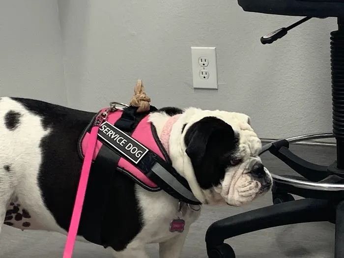 Agua Fria Animal Hospital 2