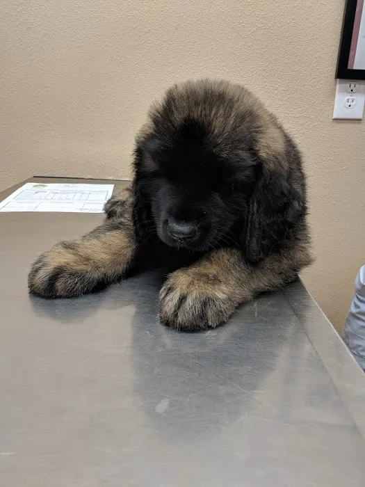 Agua Fria Animal Hospital 6