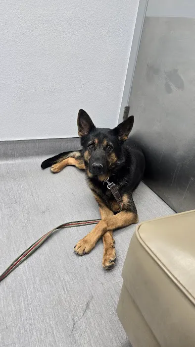 Agua Fria Animal Hospital 3
