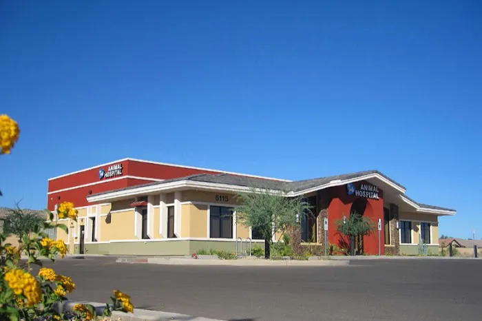 Dreaming Summit Animal Hospital 1