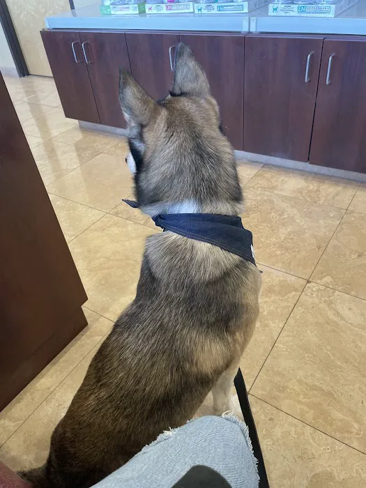 Dreaming Summit Animal Hospital 9