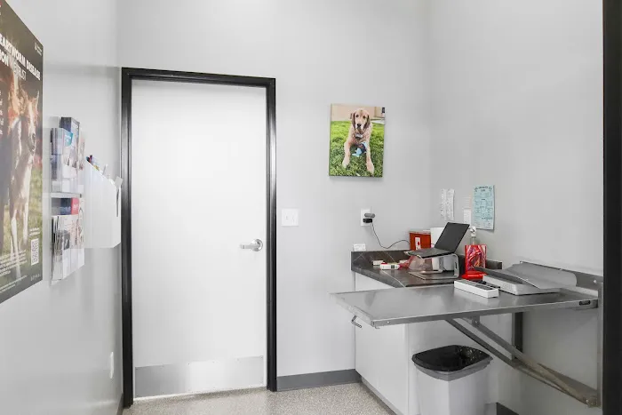 Spay Neuter Clinic: Glendale 2