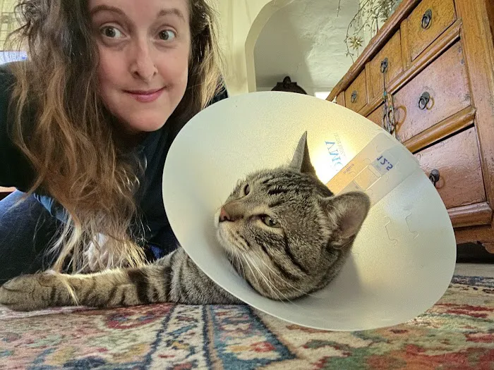 Spay Neuter Clinic: Glendale 9