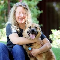 Veterinary Acupuncture and Alternative Medicine in Phoenix ico