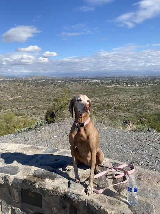 Arizona Animal Hospital 7