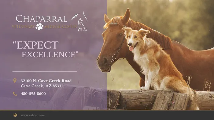 Chaparral Veterinary Medical Center 2