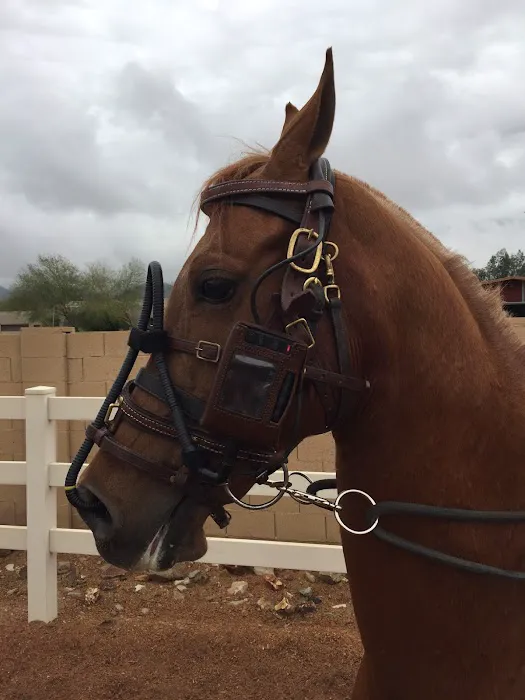 Chaparral Veterinary Medical Center 3