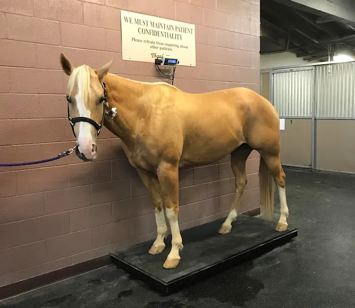 Chaparral Veterinary Medical Center 1