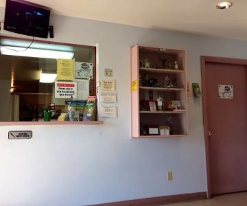 New River Veterinary Hospital