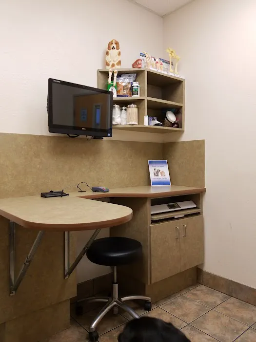 Animal Hospital at Anthem & Grooming 7