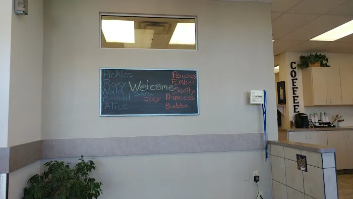 Animal Hospital at Anthem & Grooming 4
