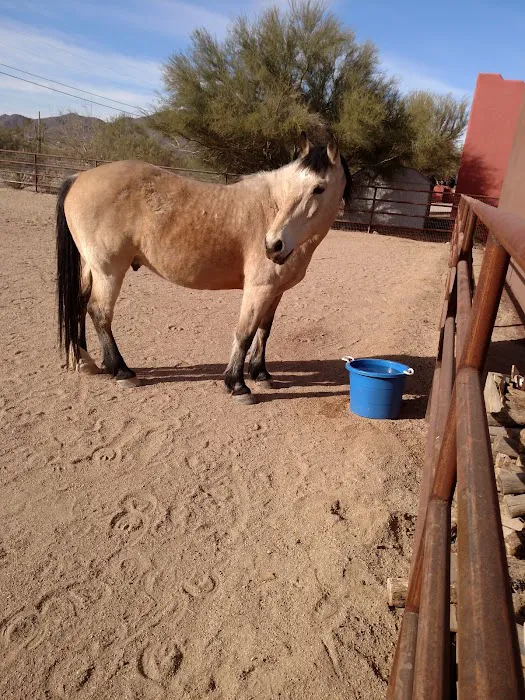 Copper Ridge Equine, LLC 1