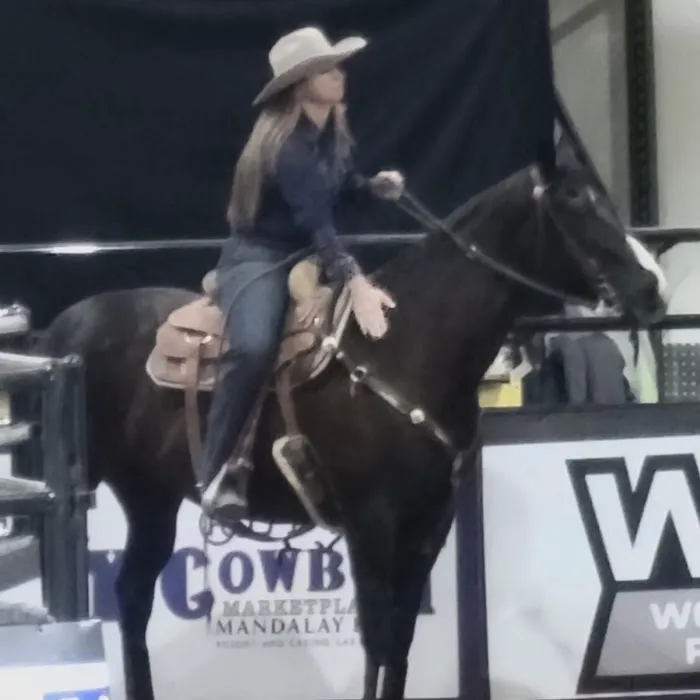 Copper Ridge Equine, LLC 4