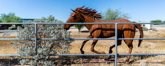 Cave Creek Equine Sports Medicine & Surgery 3