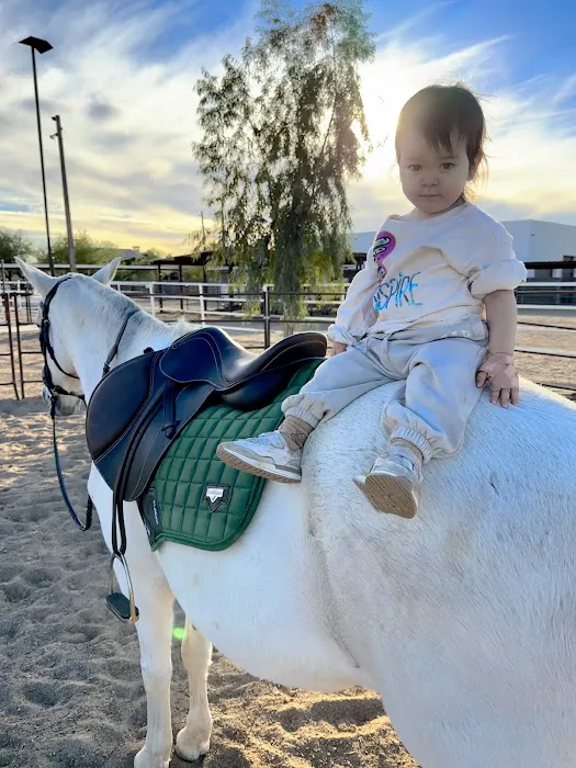 Cave Creek Equine Sports Medicine & Surgery 6