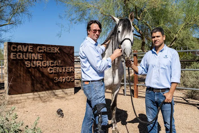 Cave Creek Equine Sports Medicine & Surgery 2